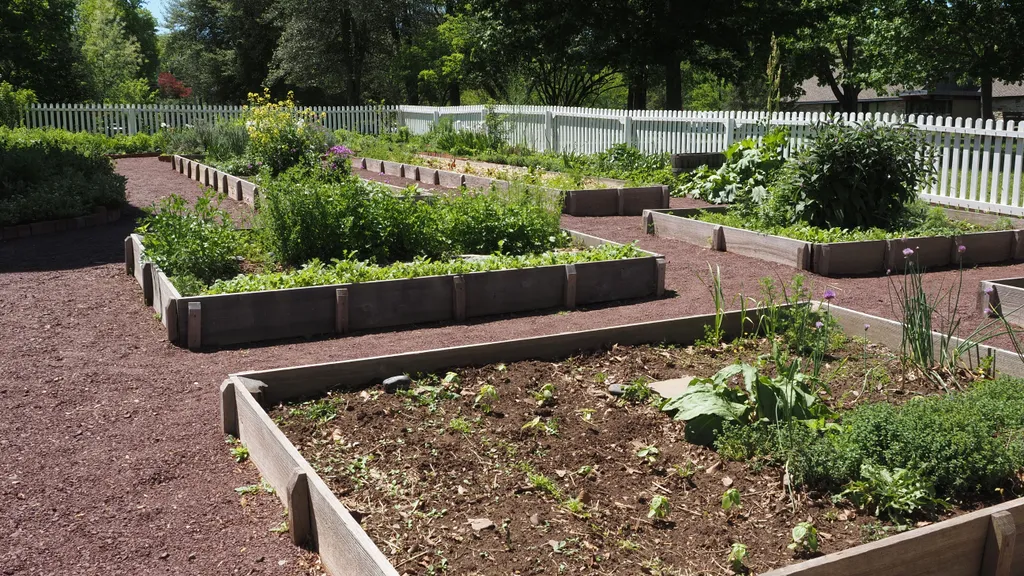 The Best Raised Garden Beds for Backyard and Patio Growing