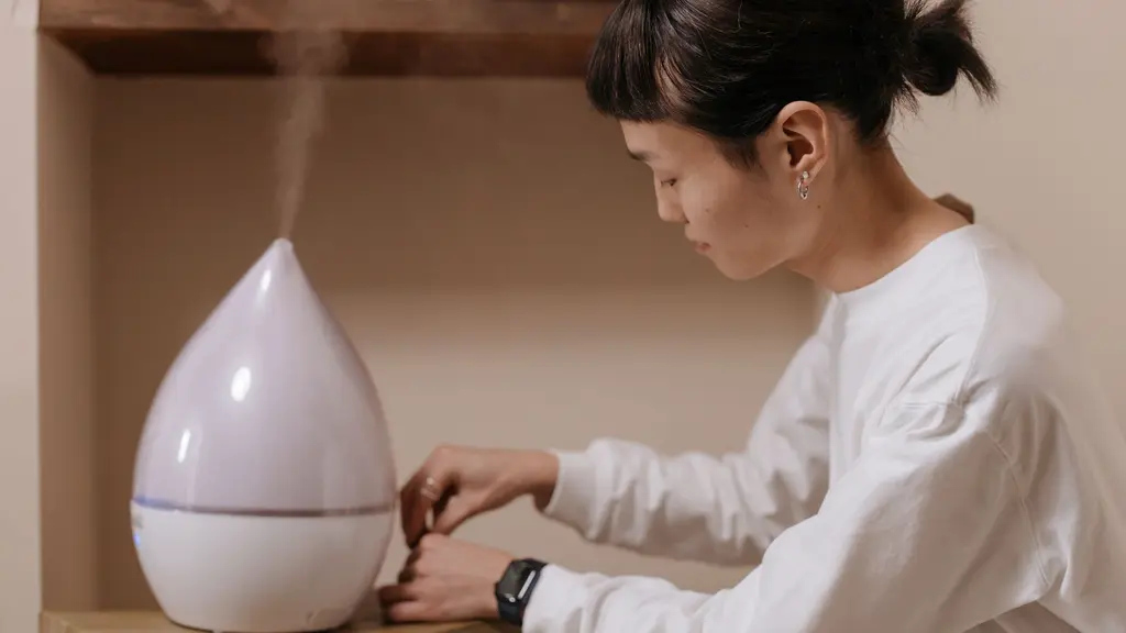 Air Purifier vs Humidifier: Which One Do You Actually Need?