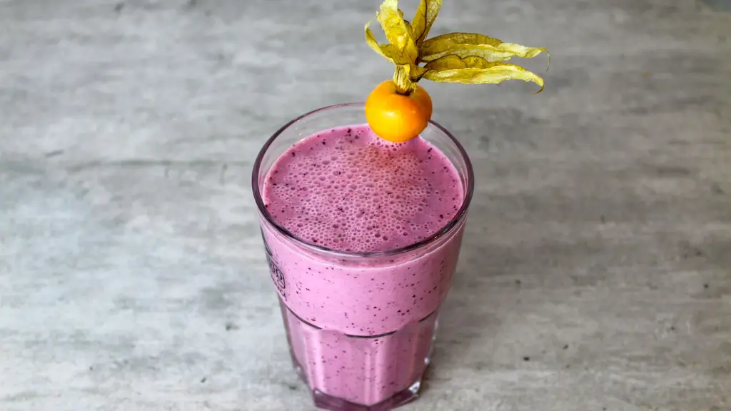 Best Blender for Protein Shakes and Gym Smoothies