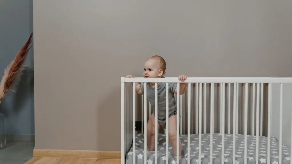 Wifi vs Non-Wifi Baby Monitor: Which One Do You Need?