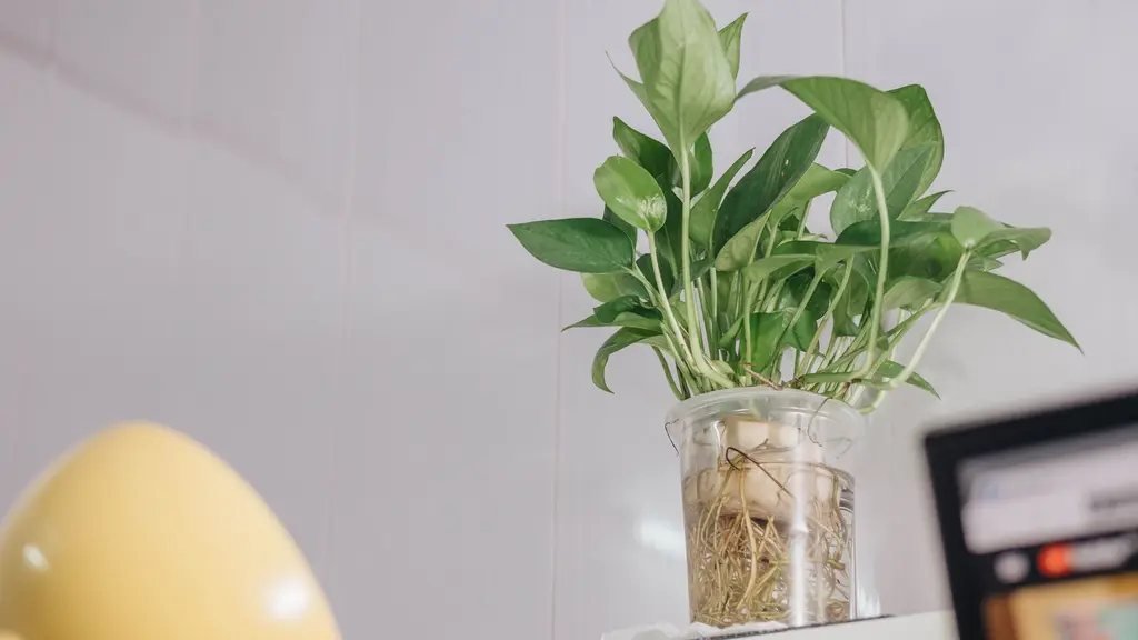 Do Water-Based Air Purifiers Actually Work? Versus a HEPA Filter