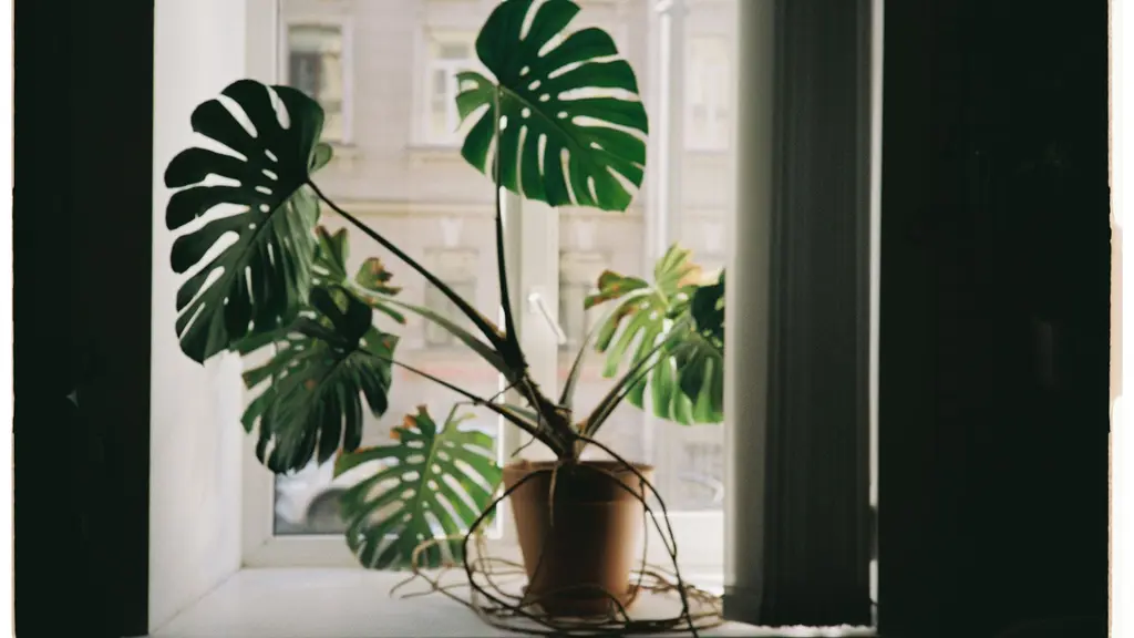 Do Air Purifiers Help With Dust? What They Actually Catch